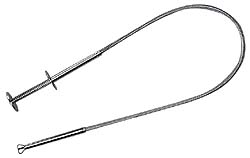 Image may have been reduced in size. Click image to view fullscreen.