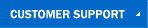 Customer Support